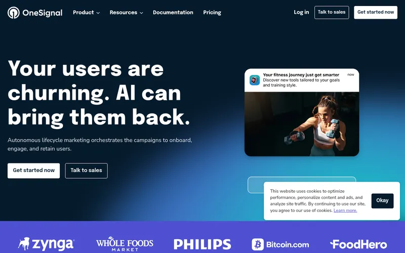 Screenshot of the OneSignal homepage